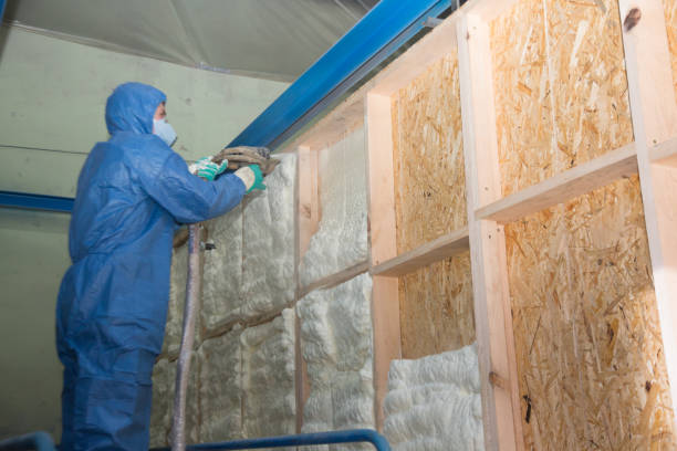 Best Insulation Contractor Near Me  in Bamberg, SC