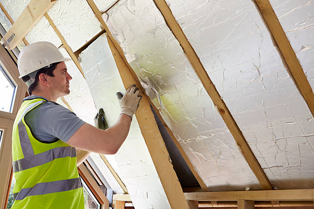 Best Insulation Contractors for Homes  in Bamberg, SC