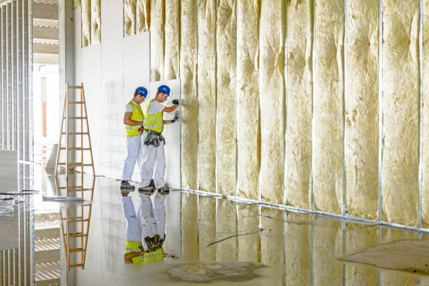 Best Spray Foam Insulation  in Bamberg, SC